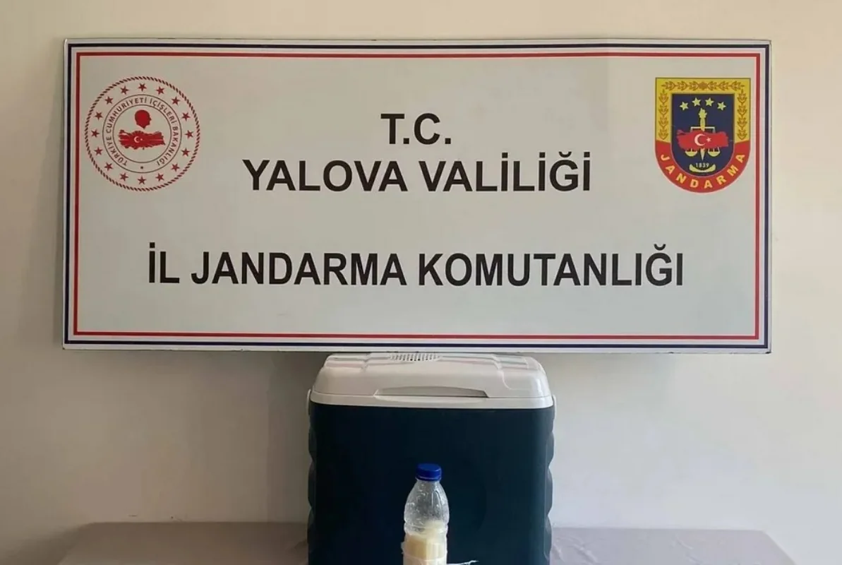 Türkiyədə 5 milyon dollarlıq əqrəb zəhəri ələ keçirildi