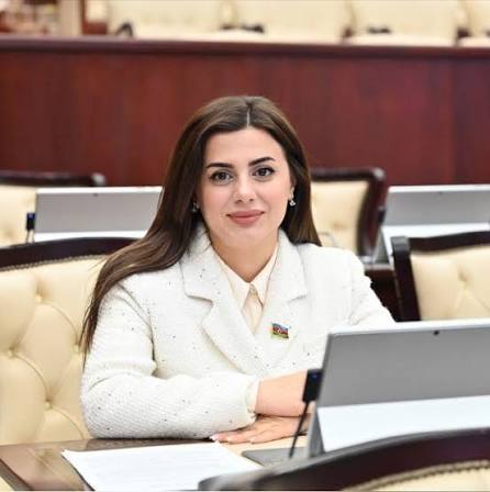 Deputat: Azərbaycan-Almaniya əməkdaşlığında yeni iqtisadi istiqamətlər formalaşır