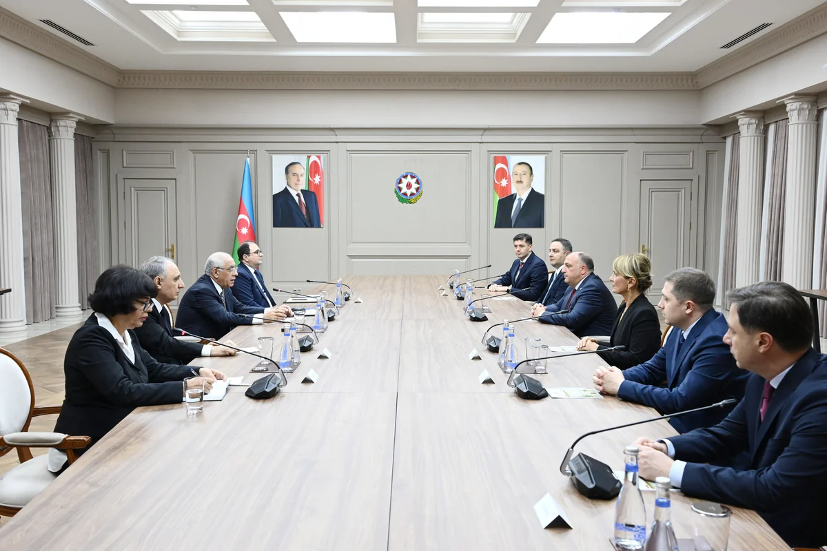 Əli Əsədov Gürcüstanın Baş prokuroru ilə görüş keçirdi